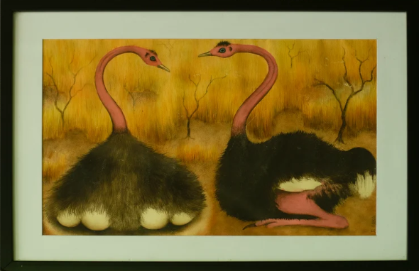 E. Ooko. Ostriches. 2008. Kenya.